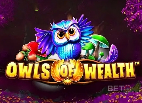 Owls of Wealth