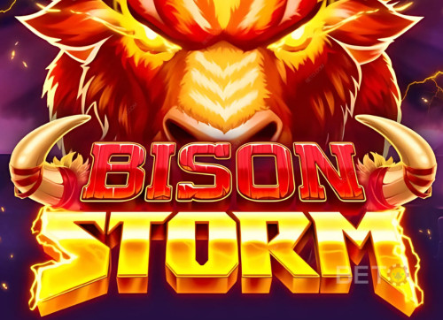 Bison Storm