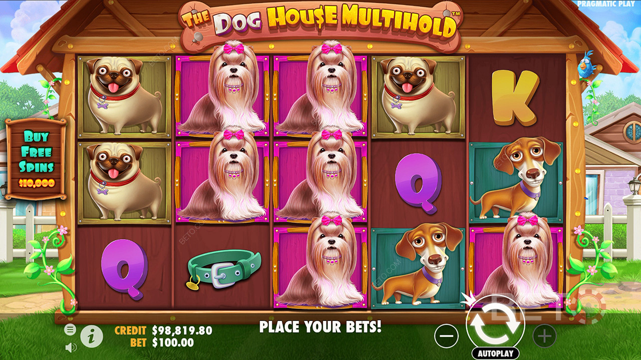 الحكم على فتحة الفيديو The Dog House Multihold متعدد الفتحات