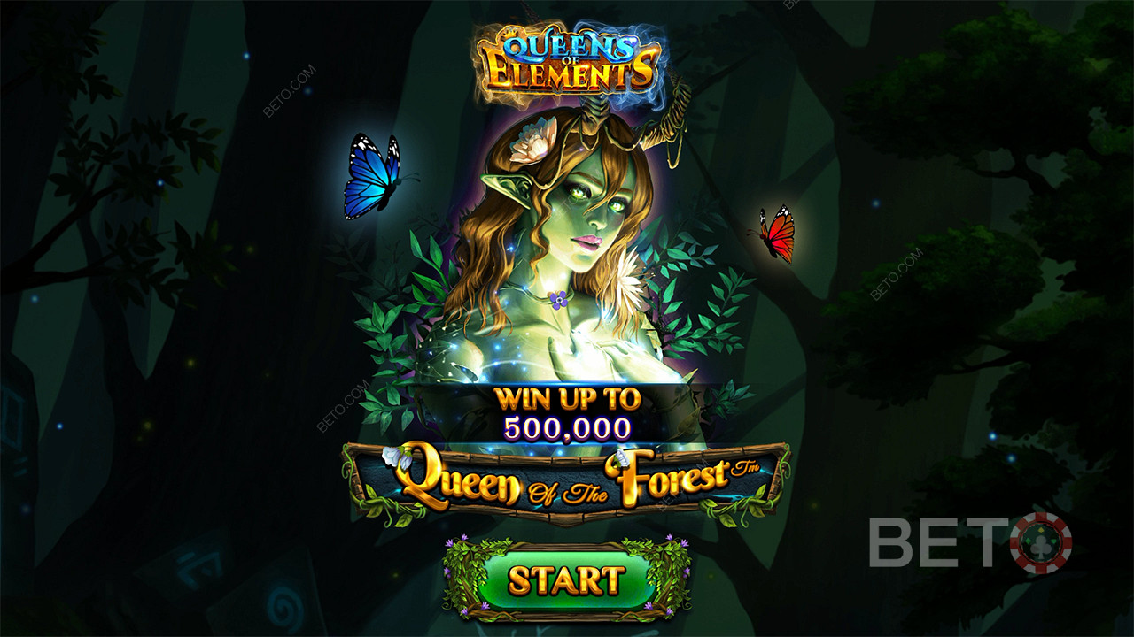 Queen of the Forest اللعب المجاني