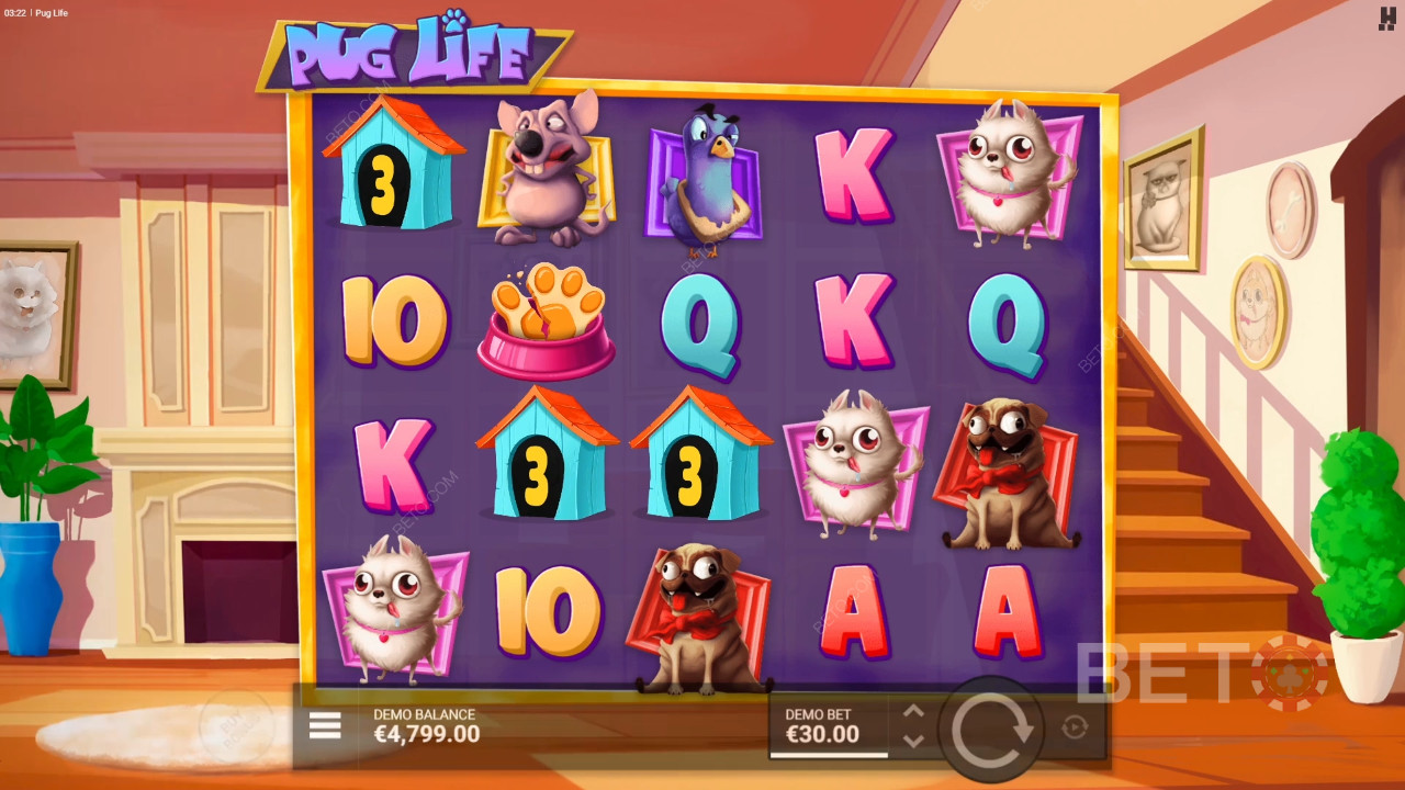 مراجعة لعبة Pug Life من BETO Slots