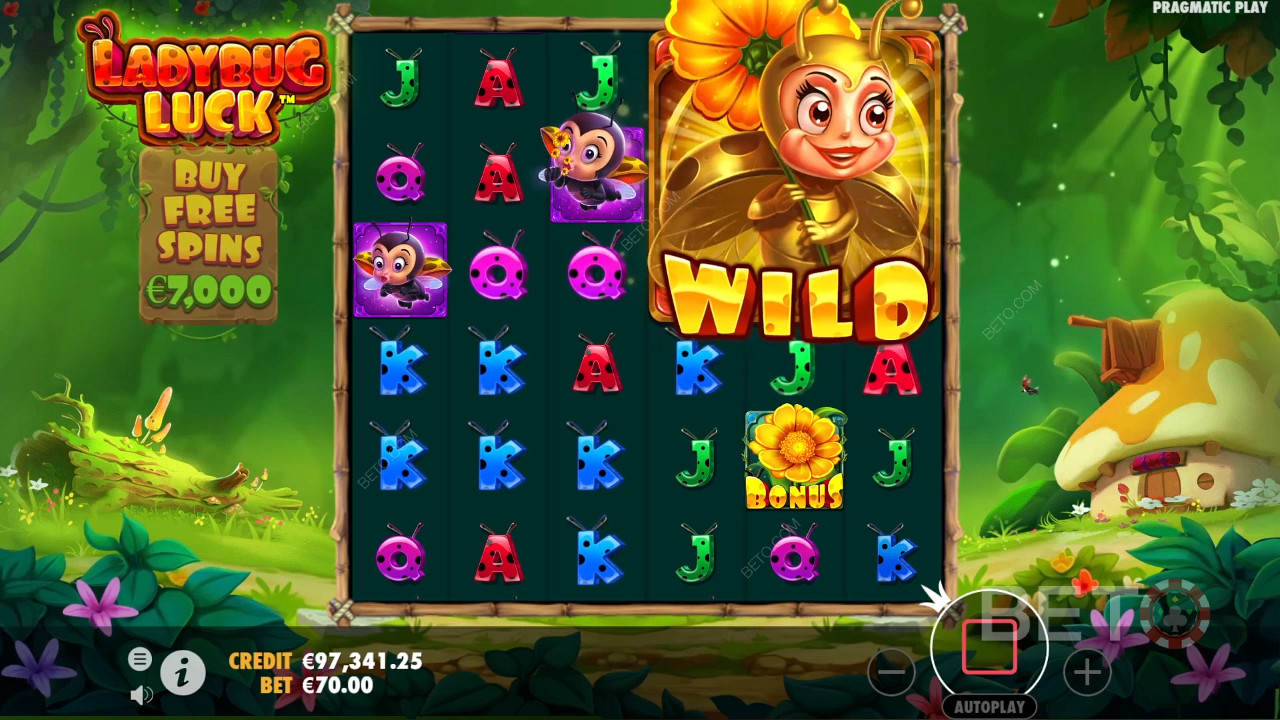 مراجعة حظ الخنفساء من BETO Slots