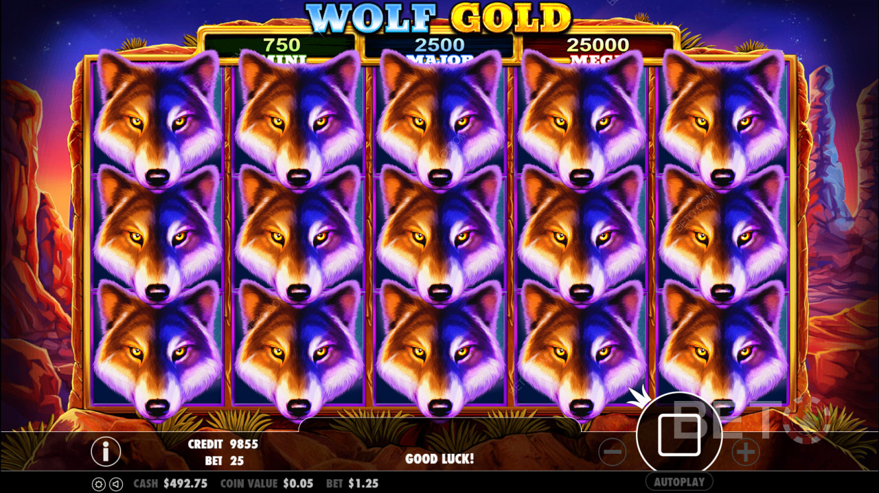 رمز Wolf Gold يقوم بتشغيل جولة التدوير الحر
