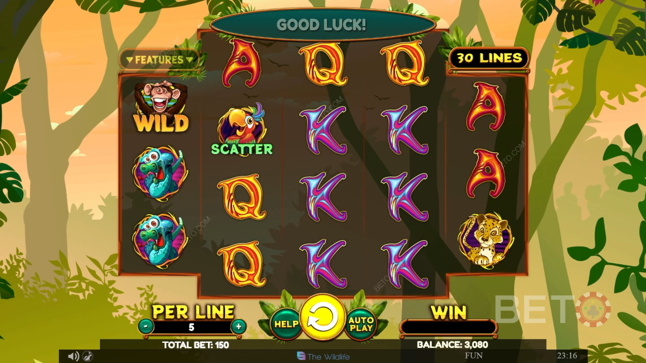 مراجعة Wacky Monkey من BETO Slots