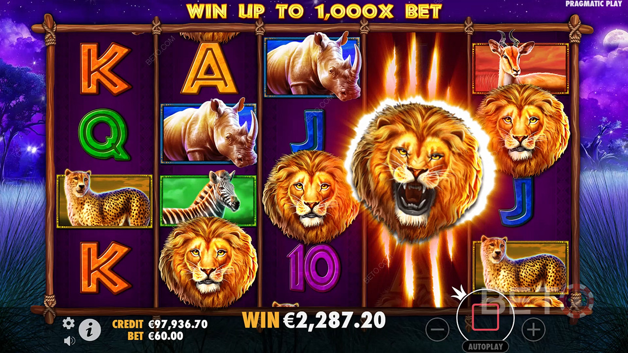 مراجعة ملك السفاري من BETO Slots