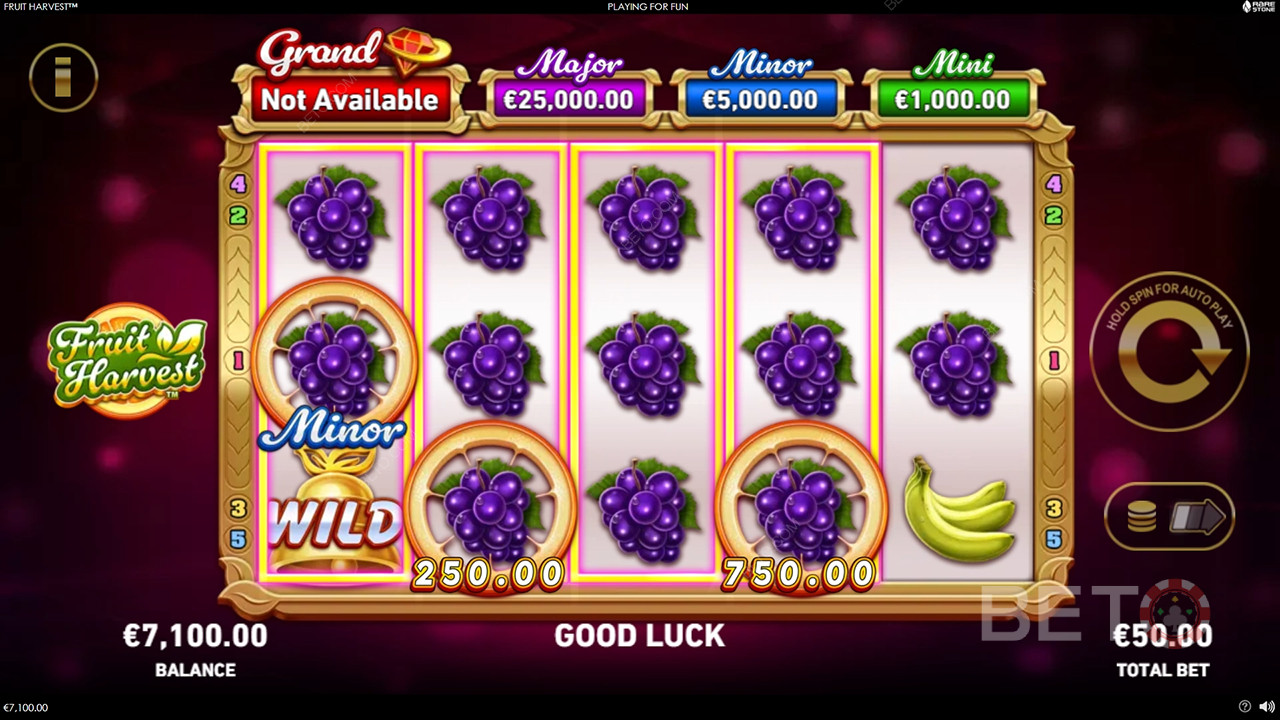 مراجعة حصاد الفاكهة من BETO Slots