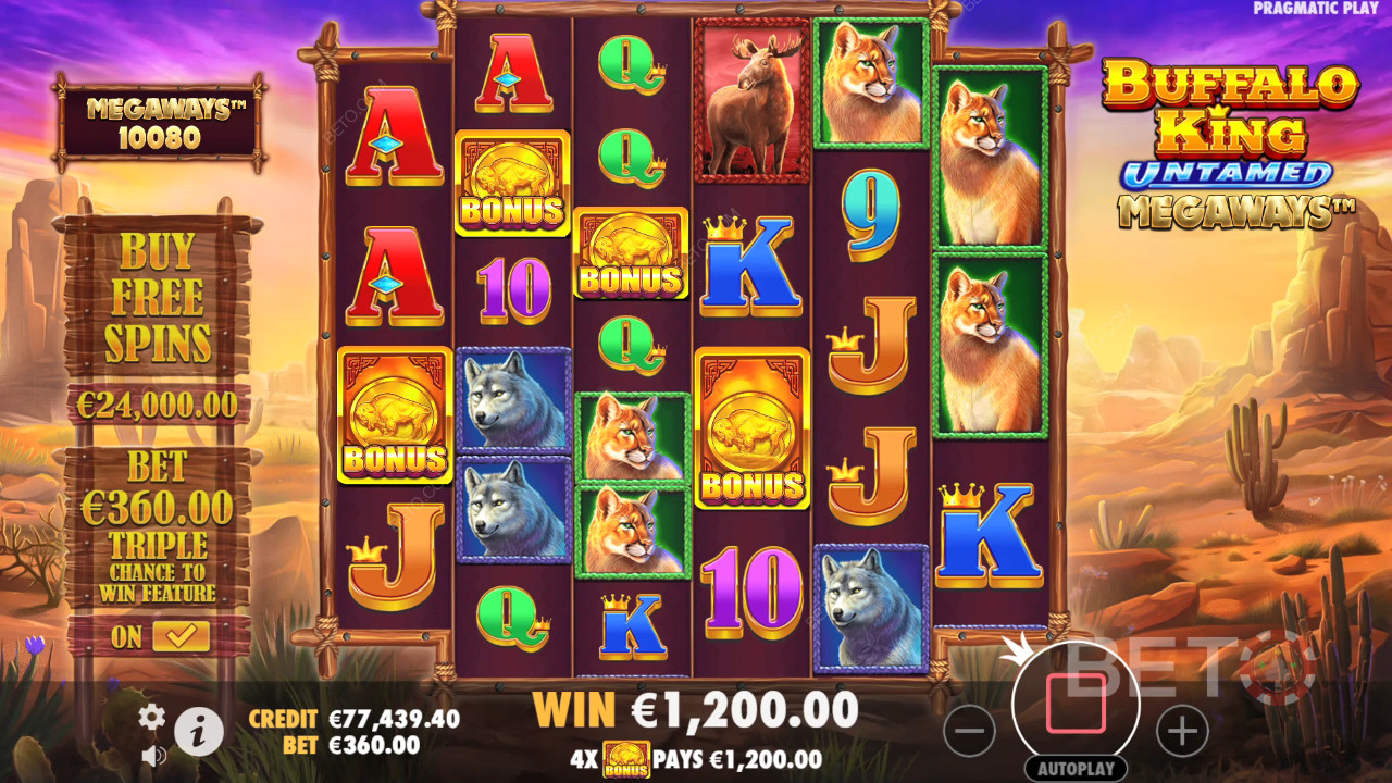 Buffalo King مراجعة فتحات ميجوايز الجامحة من BETO Slots