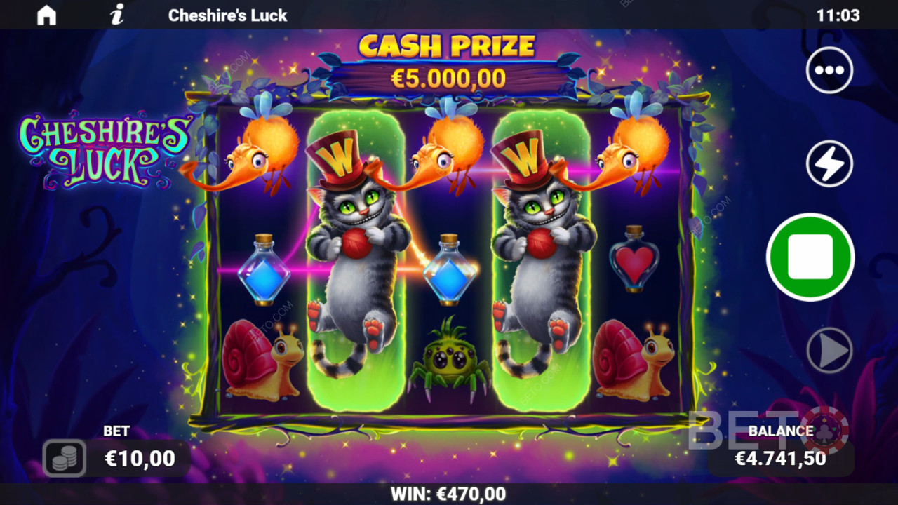 مراجعة حظ شيشيرز لاك من BETO Slots