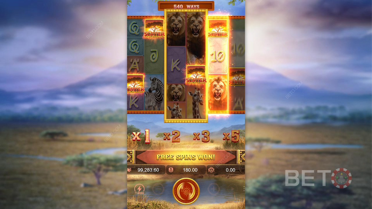 مراجعة Safari Wilds من BETO Slots