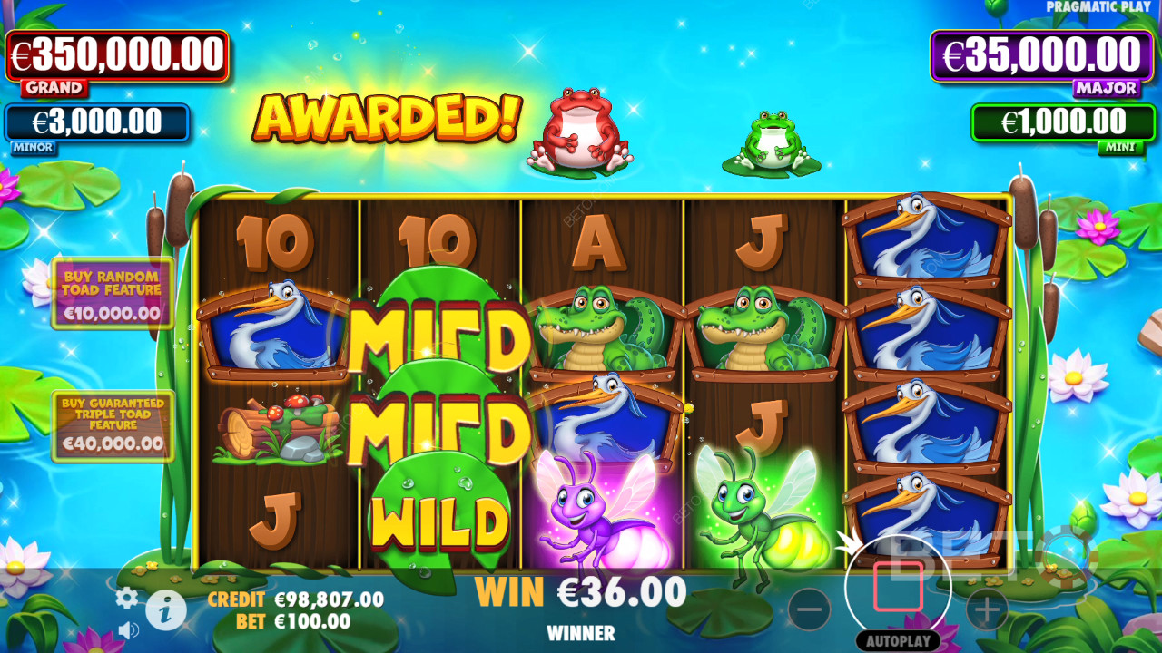 مراجعة Tiny Toads بواسطة BETO Slots