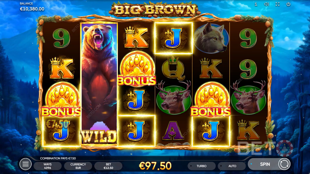 مراجعة Big Brown من BETO Slots