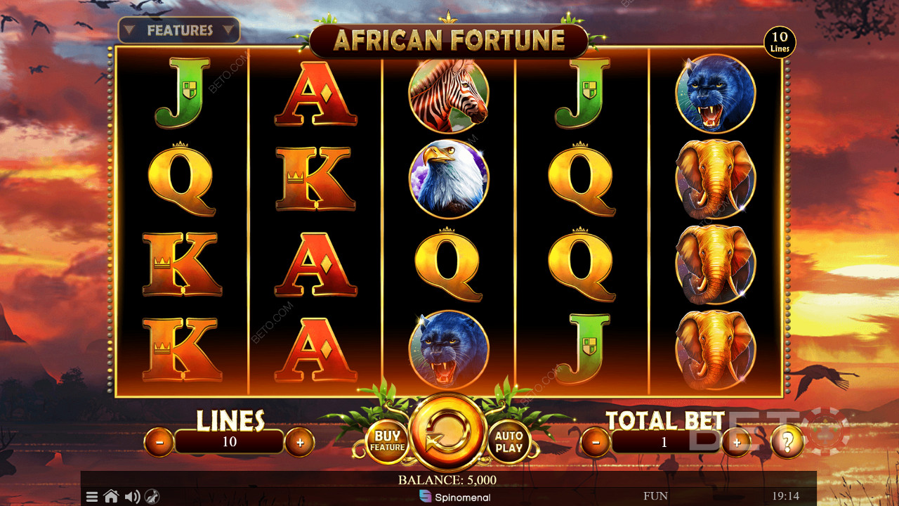 شبكة اللعب 5x4 من African Fortune