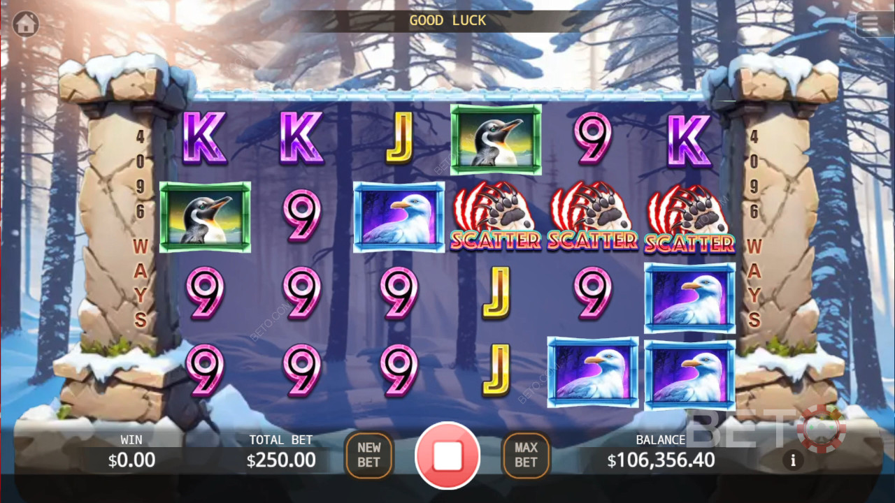 مراجعة Bear Paw Legend Plus من BETO Slots