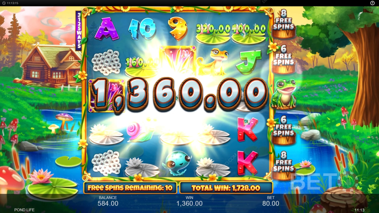 مراجعة Pond Life من BETO Slots