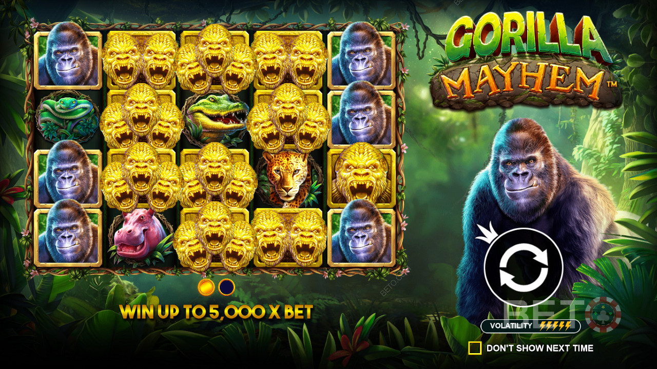 تلعب رموز الغوريلا الذهبية دورًا مهمًا في فتحة Gorilla Mayhem
