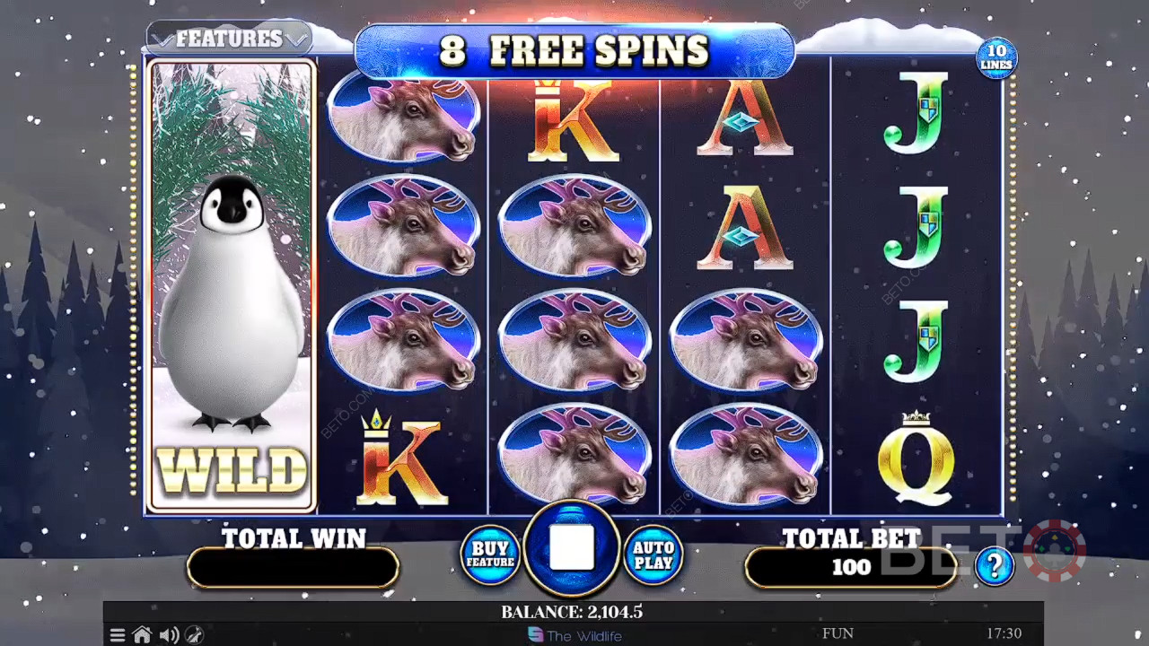 مراجعة Wild Penguin من BETO Slots