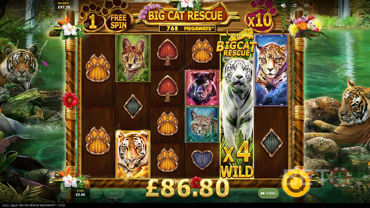 مراجعة لعبة Big Cat Rescue Megaways من BETO Slots