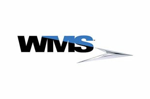 العب مجانا WMS ماكينات القمار عبر الإنترنت وألعاب الكازينو (2024)