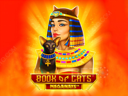 Book of Cats Megaways نسخة تجريبية