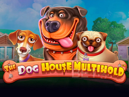 The Dog House Multihold نسخة تجريبية