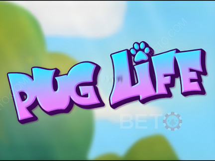 Pug Life نسخة تجريبية