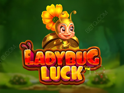 Ladybug Luck  نسخة تجريبية