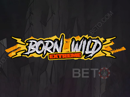 Born Wild نسخة تجريبية