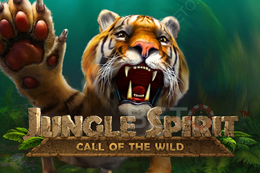 Jungle Spirit - انضم إلى المغامرة في الغابة العميقة والمظلمة.