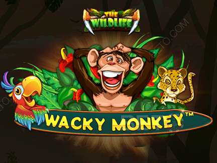 Wacky Monkey نسخة تجريبية