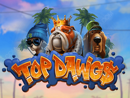 Top Dawgs نسخة تجريبية