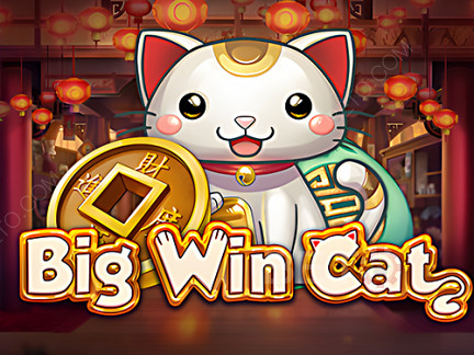 Big Win Cat نسخة تجريبية