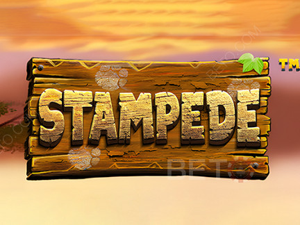 Stampede (Betsoft)  نسخة تجريبية