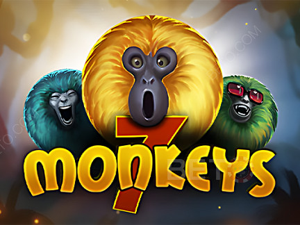 7 Monkeys  نسخة تجريبية