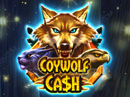 Coywolf Cash نسخة تجريبية