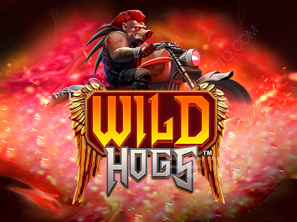 Wild Hogs نسخة تجريبية