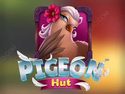 Pigeon Hut نسخة تجريبية