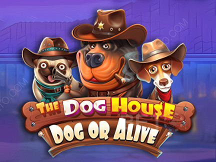 The Dog House - Dog or Alive نسخة تجريبية