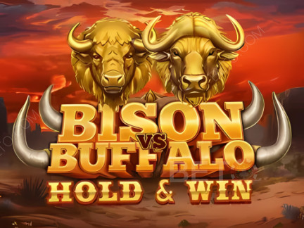 Bison vs Buffalo نسخة تجريبية