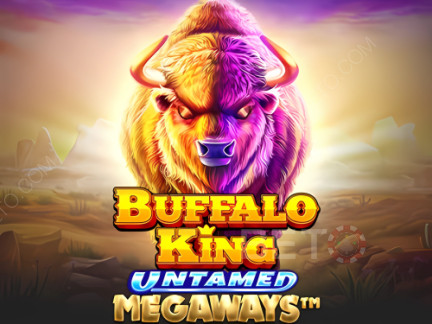 Buffalo King Untamed Megaways نسخة تجريبية