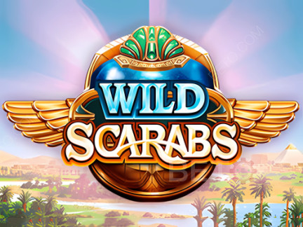 Wild Scarabs نسخة تجريبية