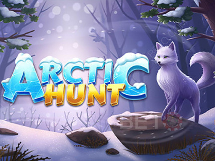 Arctic Hunt نسخة تجريبية