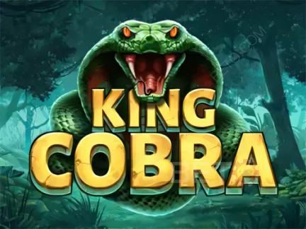 King Cobra نسخة تجريبية