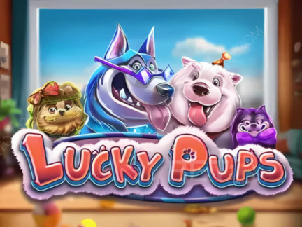 Lucky Pups نسخة تجريبية