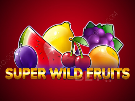 Super Wild Fruits نسخة تجريبية