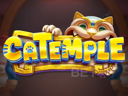 Catemple نسخة تجريبية