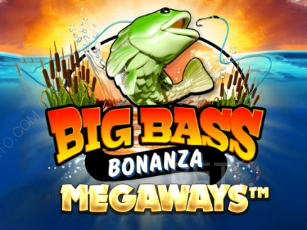 فتحة Big Bass Bonanza 5 بكرة هي مشط ناجح للاعبين الجدد والقدامى.