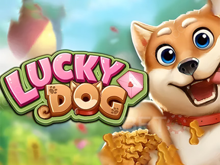 Lucky Dog نسخة تجريبية