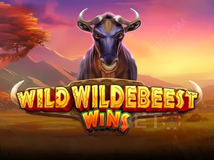 Wild Wildebeest Wins نسخة تجريبية