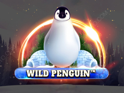 Wild Penguin نسخة تجريبية