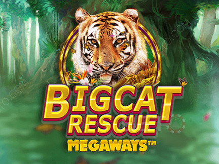 Big Cat Rescue Megaways نسخة تجريبية